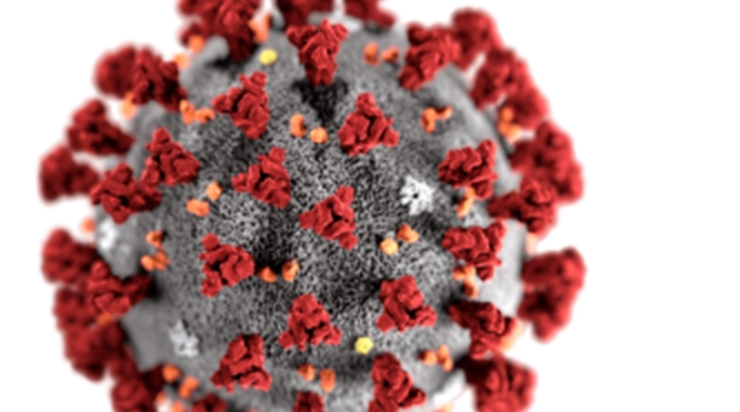 Study on the psychology of the coronavirus