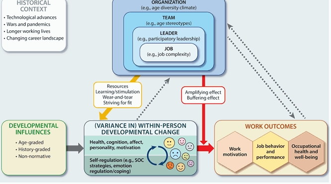 A primer on workplace aging research
